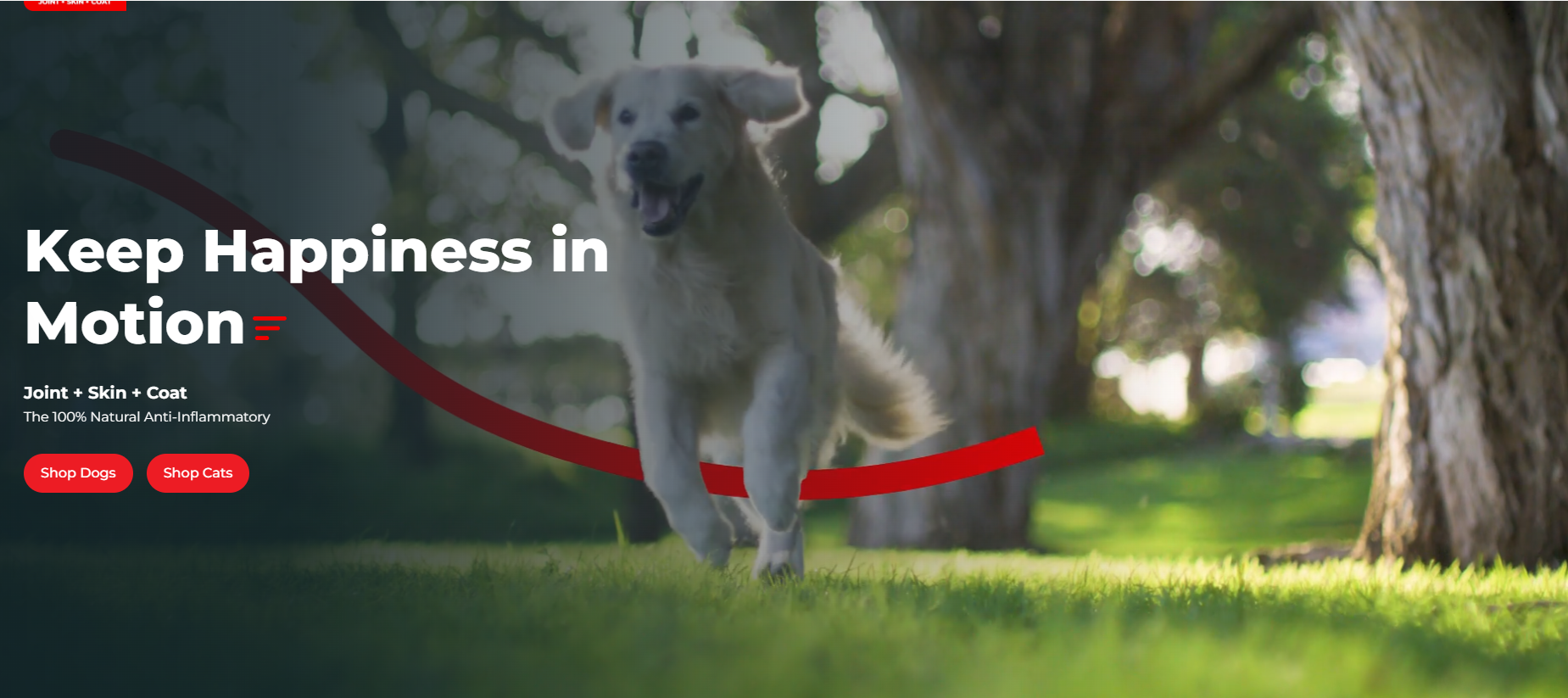 Empower Your Pet's Vitality