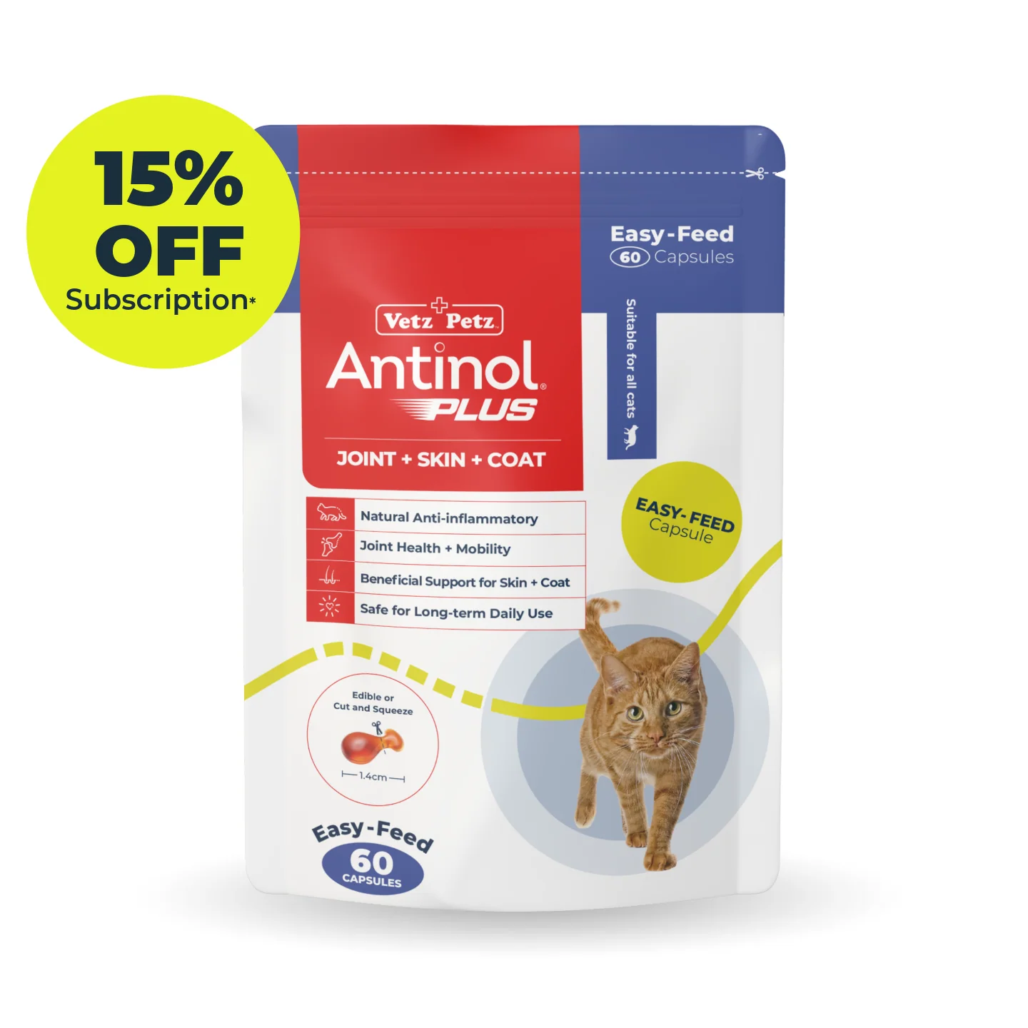 15% Off 4 orders Subs